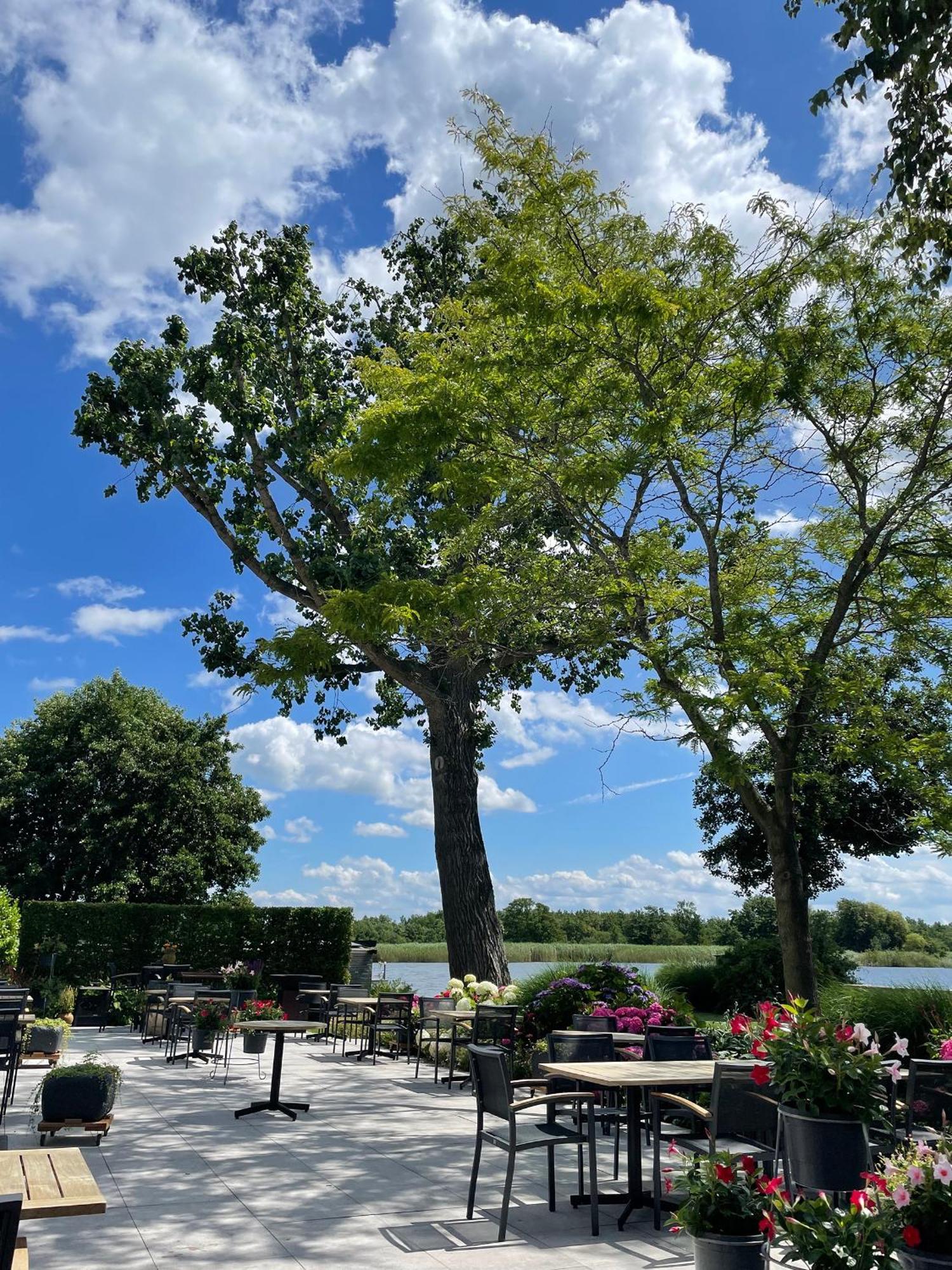Restaurant-Hotel De Watergeus Noorden Eksteriør billede
